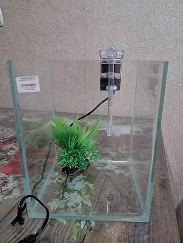 Dördbucaq akvarium, Boş, 10 l, Ünvandan götürmə — 2