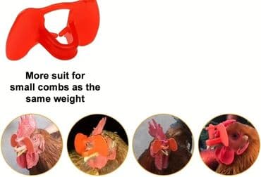 arpa toxumu satışı: Toyuqlar, qırqovullar, kəkliklər ucun gozluk — 3