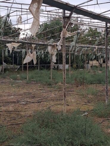 su sızıntısını aşkarlayan dedektör: 15 sotun istixana dəmirləri satilir — 3