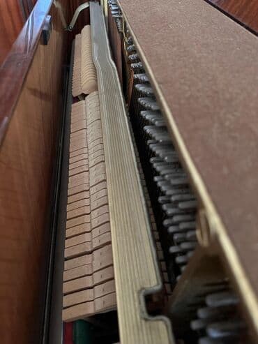 русский язык 8 класс методическое пособие e derslik: Пианино, Weinbach, Акустический — 4