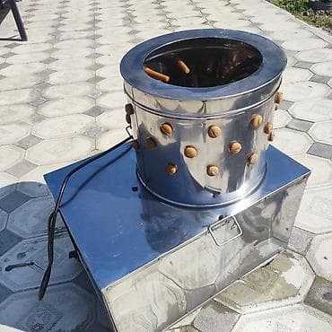 Quşlar: Toyuq yolma maşını. iki aydır alınıb.ünvan; yeni Ramana — 3