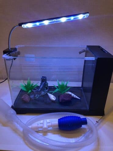 akvariyum baliqlari: Dördbucaq akvarium, Boş, 10 l, Ünvandan götürmə — 2