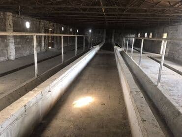 sumqayitda qaraj satilir: Sabunçu rayonu Savalan qəsəbəsində 1 mərtəbəli,sahəsi 360 kv/m olan — 1