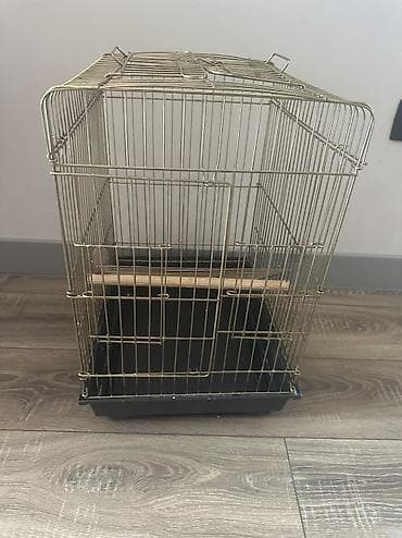 Quş qəfəsi - Material: metal karkas, qızılı rəngli barmaqlıqlar - — 3