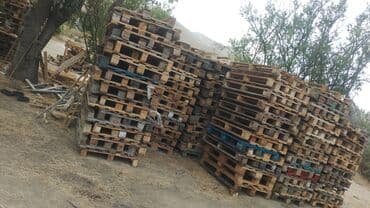 paddon satilir: Hernov palet aliwi ve satiwi. Taxta paletlər müxtəlif malların — 3