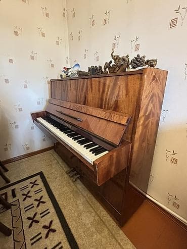 gitara akustik: Ev boşaldıldığı üçün aşağı qiymətə satılır. 8ci mərtəbədən liftsiz — 1