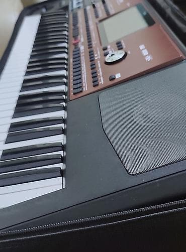 Спорт и хобби: Синтезатор, Korg, Новый, Самовывоз — 4