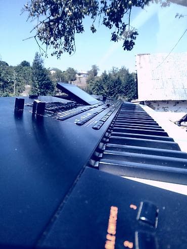 akustik gitara simi: Sintezator, Korg, İşlənmiş, Ünvandan götürmə — 7