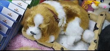 Salam eziz musderilermiz yeni masin ucun sit usdu itlermiz ve