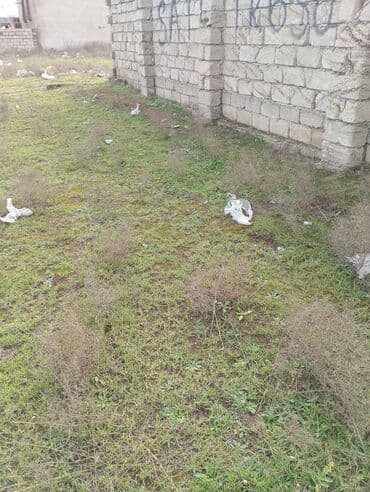 huseynbala eliyev kucesi: Tikinti — 6