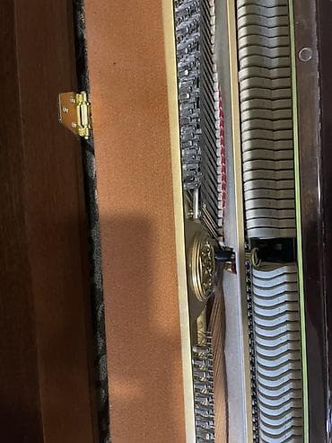 instrumenti: Ritmüller akustik pianino – upright model - Marka/model: Ritmüller — 2