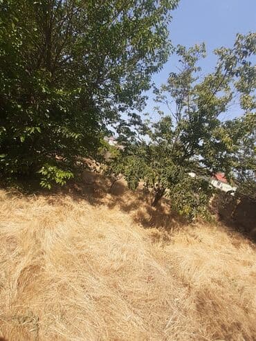 tap az bag evleri pirsagida: Bakı, Görədil, 65 kv. m, 1 otaqlı, Hovuzsuz, Qaz, Su, Kanalizasiya — 20