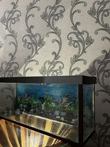 böyük akvarium: Dördbucaq akvarium, Boş, 45 l, Ünvandan götürmə — 3