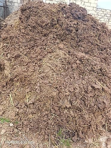 Təbii üzvi gübrə – mal peyini Məhsul təsviri: - Heyvandarlıq — 7