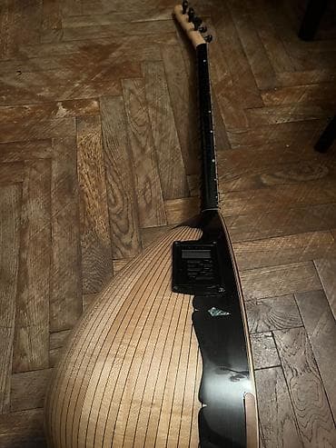 dynacord 2: Elektrik saz (elektro bağlama) – xüsusi bəzəkli modellərdən. - — 6