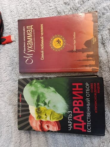 Alfa Romeo: Kitab dəsti 1) “Çərpələng uçuran” – Xalid Hüseyni - Azərbaycan — 2