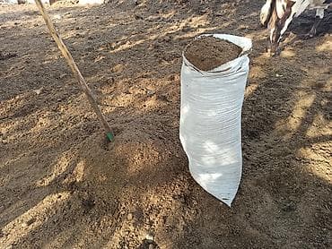 Toz halinda mal peyini - kisesi 2,80 q. ( boyuk kepek kisesinde)