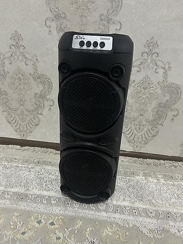 iphone 6 ekran: SNOY ZQS6223 portativ akustik sistemi - İkiqat 6.5" dinamikli güclü — 1