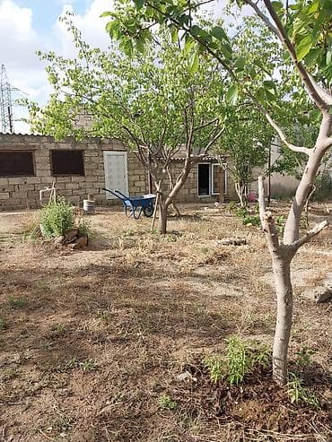 Гаражи: Для сельского хозяйства — 5