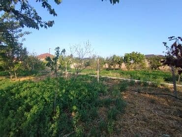 binə qəsəbəsi ats: 25 sot, Tikinti, Kupça (Çıxarış) — 4