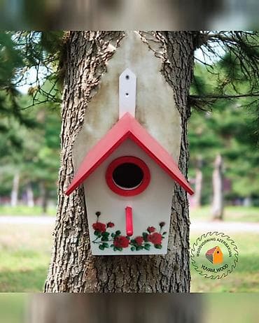 Digər heyvanlar: Quş yuvası — 7