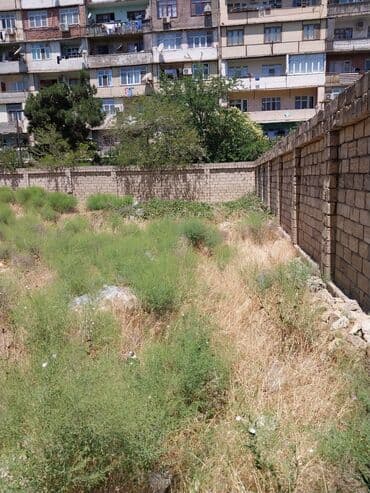 sabuncu qəsəbəsi: 9 sot, Biznes üçün, Makler, Kupça (Çıxarış) — 2