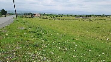 ramanida torpaq satisi: 12 sotdan ibarət Torpaq sahəsi Şəki şəhəri Orta Zəyzid kəndində Tək — 4