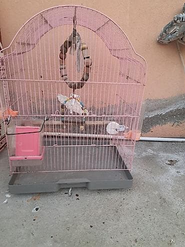 Akvarium aksessuar və ləvazimatları: Qəfəs və aksesuar dəsti – xırda ev quşları üçün - Ölçü: orta həcmli — 2