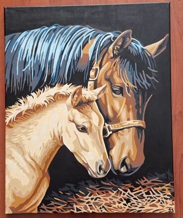 qız şəkilləri çəkmək: El iwi,yagli boya,tablolar(40×50)Real aliciya endirim var.50 azn — 2