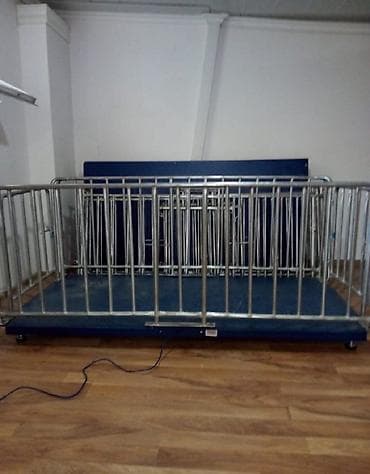 Торговые весы: Оплата наличными — 6
