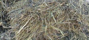 ən gözəl it adları: Məhsul: Bağlamalı quru ot /yonca satilir 400 eded var 4.50 m Təsvir — 3