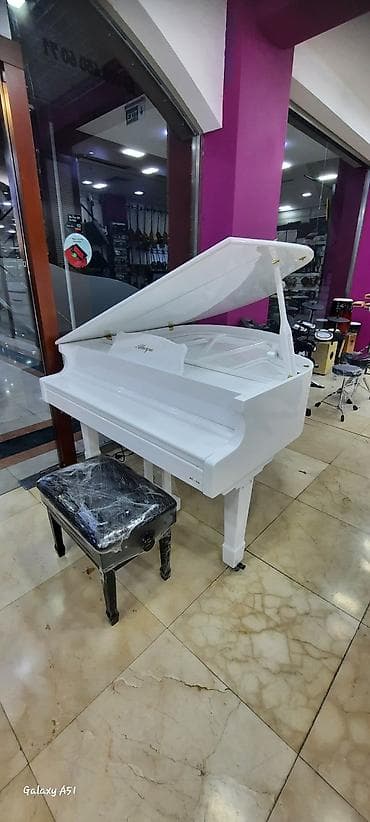 Тар: Elektro piano "Allegro" Royal royal ✅ Bir kart və Tam kartla 12, 18 — 2