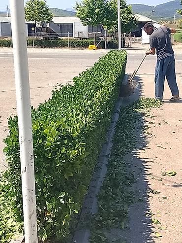 Bağ çətirləri: Yaşlix xidməti 0518153161 — 1