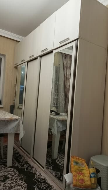 пластиковый шкаф на балкон: Купе, 4 двери Прямой шкаф, Гардеробный шкаф — 1