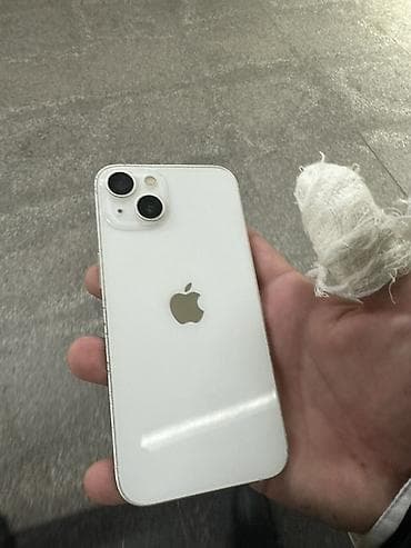IPhone 13, Ağ