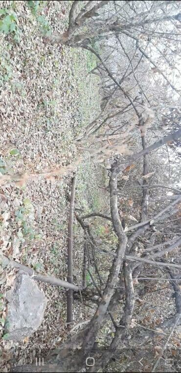 üçbucaq evlər: 12 sot, Tikinti, Kupça (Çıxarış) — 5