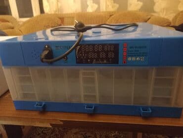 услуги инкубатора в бишкеке: Для всех видов птиц — 3