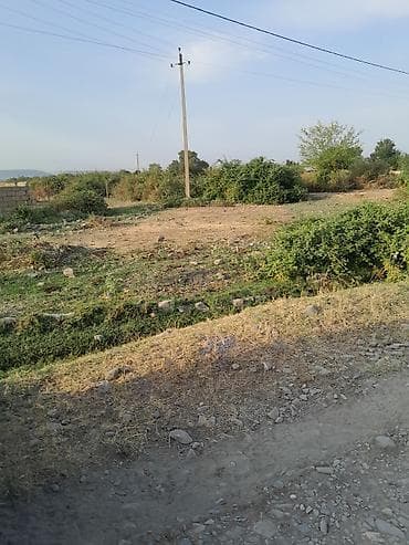 zigda torpaq qiymetleri: Tikinti — 1