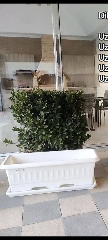 Buket güllər: Plastik uzun formalı dekorativ güldan (ağ rəng) - Material: yüngül — 1