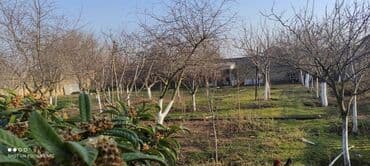 binəqədidə həyət evləri: 6 otaqlı, 300 kv. m, Yeni təmirli — 12