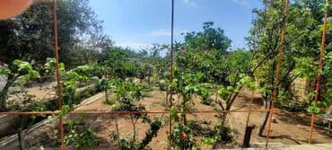 çıxarış nədir: 4 otaqlı, 110 kv. m, Kredit yoxdur, Orta təmir — 1