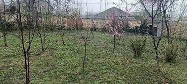 4 sot, Tikinti, Mülkiyyətçi, Kupça (Çıxarış)