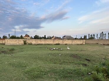 что такое şahdağ i̇stirahət evi nabran: 7 соток, Для строительства, Собственник, Купчая — 1