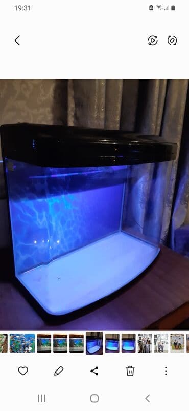 akvarium bitkileri: Boş, 80 l, Ünvandan götürmə — 1