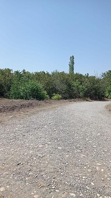 18 mine evler: 22 sot, Tikinti, Mülkiyyətçi, Kupça (Çıxarış) — 2