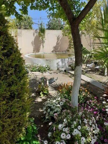 снять дом в исмаиллы: 250 м², 5 комнат — 4