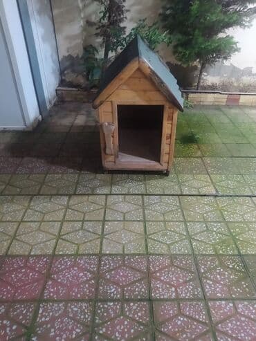 it ucun evlər: Taxta it evi - Material: təbii taxta lövhələr, möhkəm karkas - Dam — 3