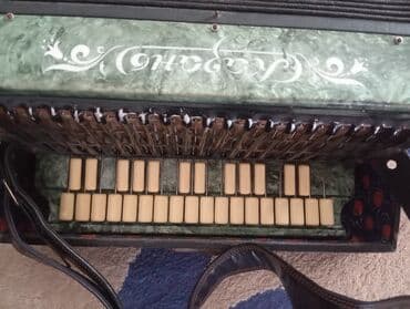 духовой деревянный инструмент: Гармонь, Акустический — 2