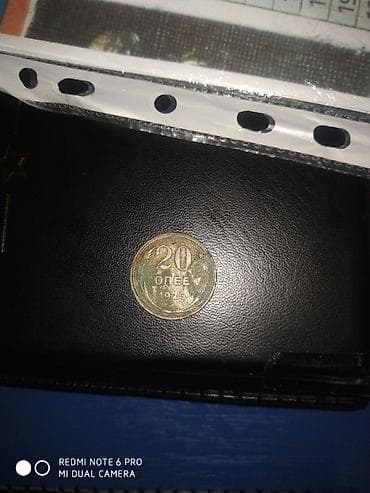 20 Qəpik, 1925 il, Vəziyyəti: Qənaətbəxş