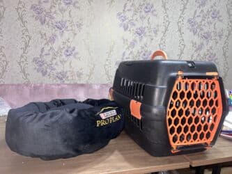 Pişiklər: Heyvan daşıma çantası + yumşaq yataq dəsti - Daşıma çantası: sərt — 1